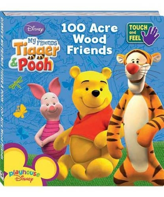 My Friends Tigger and Pooh: 100 Acre Wood Friends book