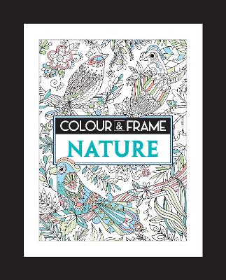 Colour and Frame book