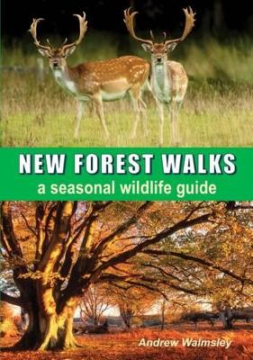 New Forest Walks book