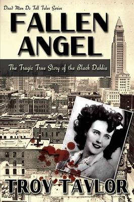 Fallen Angel book