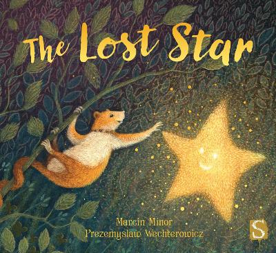 The Lost Star book