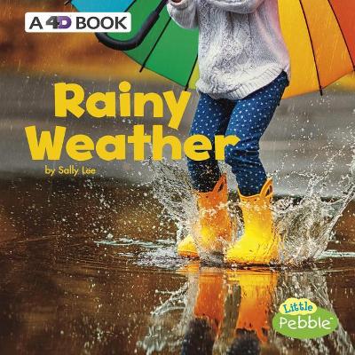 Rainy Weather book