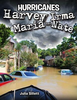 Hurricanes Harvey, Irma, Maria and Nate by Julia Sillett