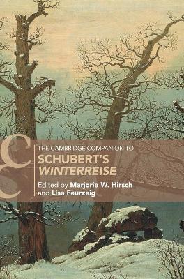 The Cambridge Companion to Schubert's ‘Winterreise' book