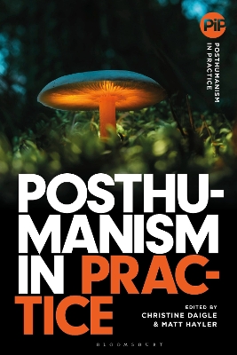Posthumanism in Practice book
