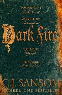 Dark Fire book