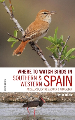 Where to Watch Birds in Southern and Western Spain: Andalucia, Extremadura and Gibraltar by Ernest Garcia