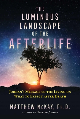 The Luminous Landscape of the Afterlife: Jordan's Message to the Living on What to Expect after Death book