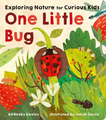 One Little Bug: Exploring Nature for Curious Kids by Becky Davies