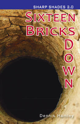 Sixteen Bricks Down (Sharp Shades) book
