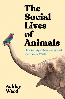 The Social Lives of Animals: How Co-operation Conquered the Natural World by Ashley Ward