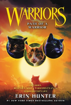 Warriors: Path of a Warrior book