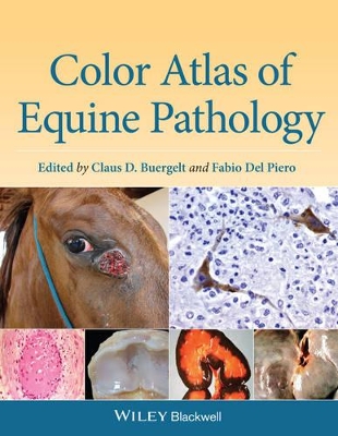 Color Atlas of Equine Pathology book