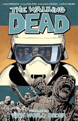 Walking Dead Volume 30 book