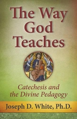Way God Teaches book