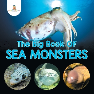 The Big Book Of Sea Monsters (Scary Looking Sea Animals) book