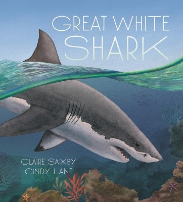 Great White Shark by Claire Saxby