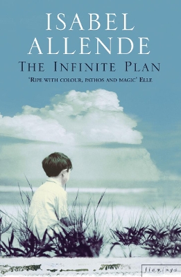 The Infinite Plan book