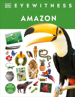 Amazon book