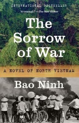 Sorrow of War book