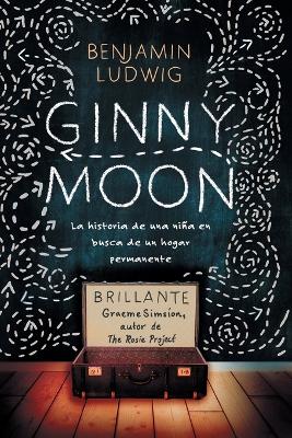 Ginny Moon book