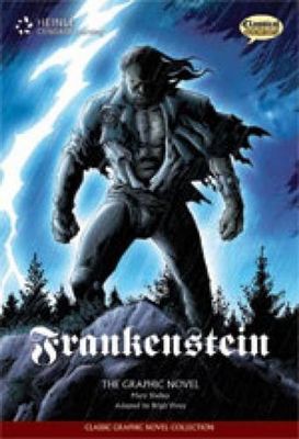 Frankenstein book