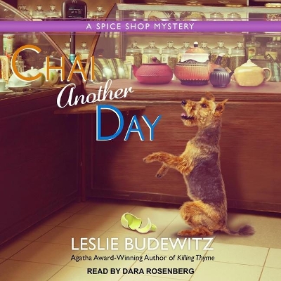 Chai Another Day book