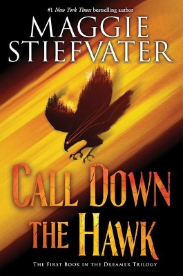 Call Down the Hawk book