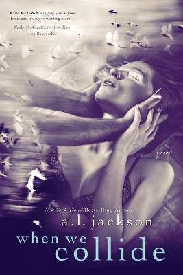 When We Collide book