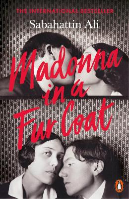 Madonna in a Fur Coat book