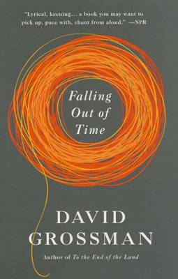 Falling Out of Time book