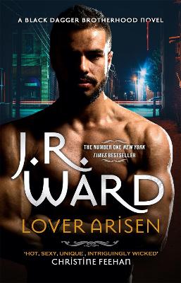 Lover Arisen book