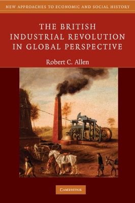 British Industrial Revolution in Global Perspective book