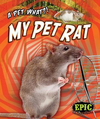 My Pet Rat book