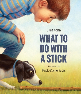 What to do with a Stick: A remarkable toy book