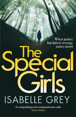 Special Girls book