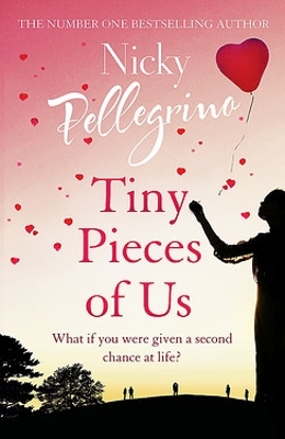 Tiny Pieces of Us book
