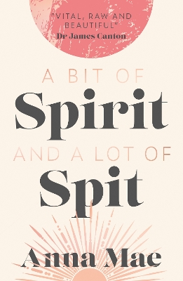 A Bit of Spirit and a Lot of Spit: The Journey of Anna Mae, from Premonition to Bereavement. Domestic Violence, to Freedom. book