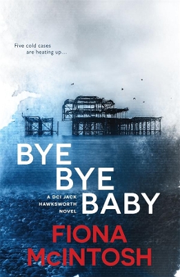 Bye Bye Baby book