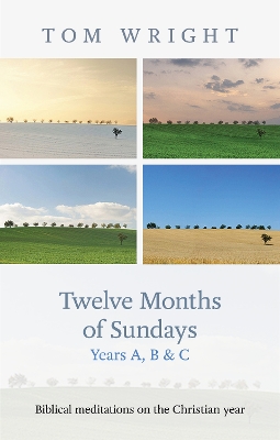 Twelve Months of Sundays Year C: Reflections On Bible Readings book