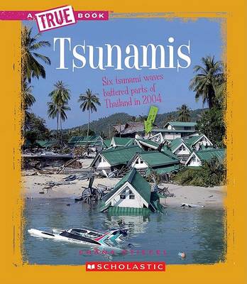 Tsunamis book