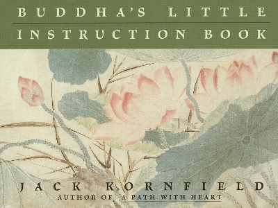Buddha's Little Instruction Book book