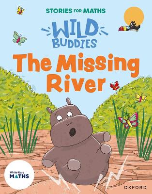 Stories for Maths: The Missing River book