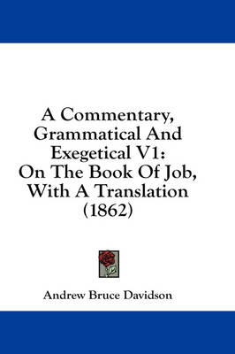 A Commentary, Grammatical And Exegetical V1: On The Book Of Job, With A Translation (1862) book