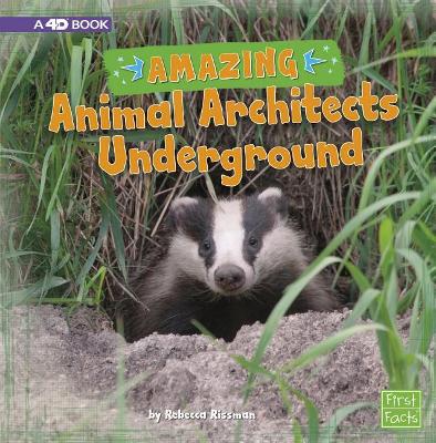 Amazing Animal Architects Underground by Rebecca Rissman