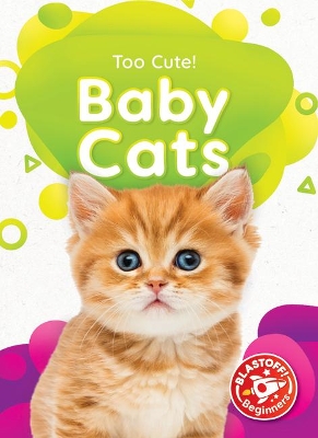 Baby Cats book