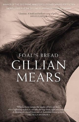 Foal'S Bread book