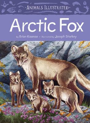 Animals Illustrated: Arctic Fox book