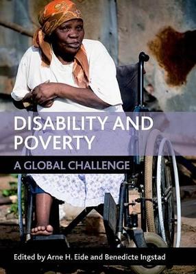 Disability and poverty book