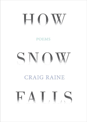 How Snow Falls book